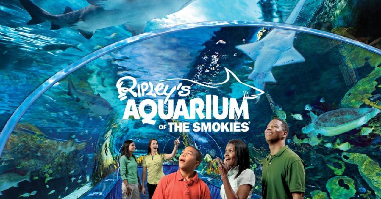蓋特林堡Smoky Mountain Views别墅 外观 照片